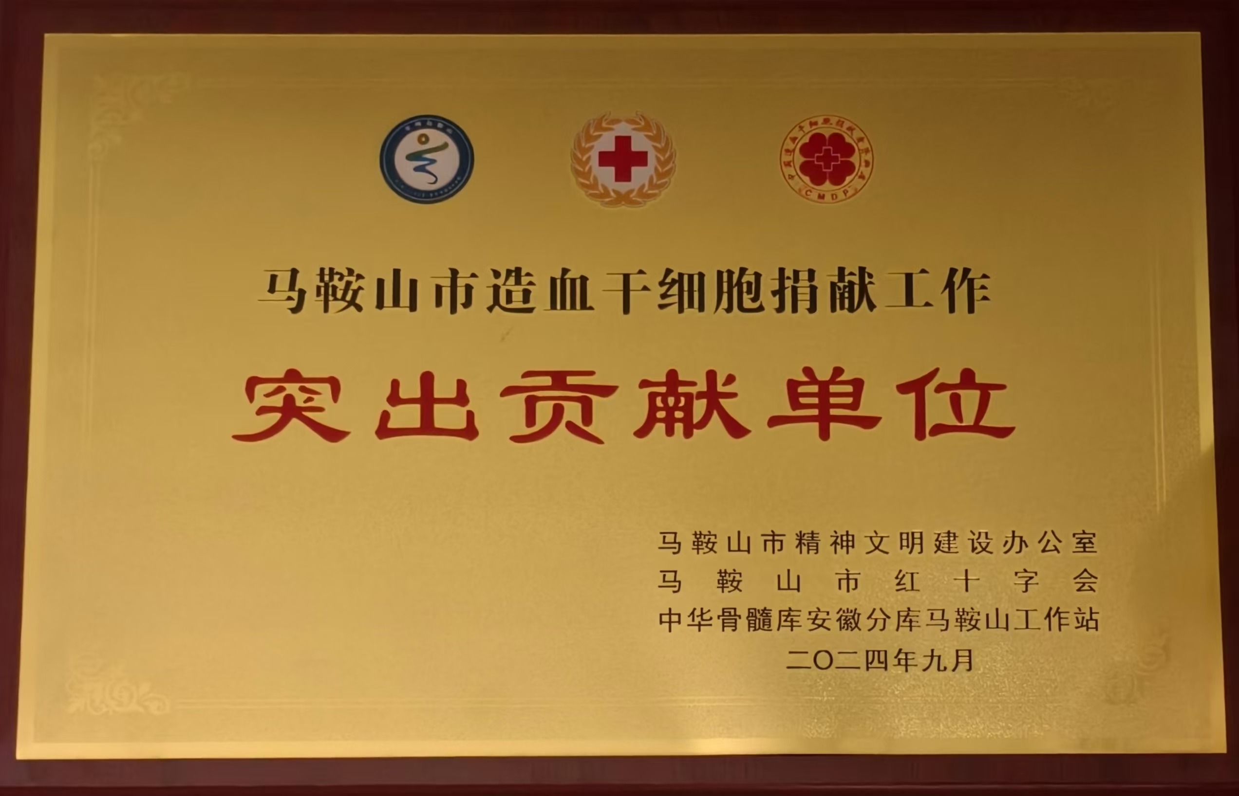 胜天国际-梦想照进现实,努力成就未来!