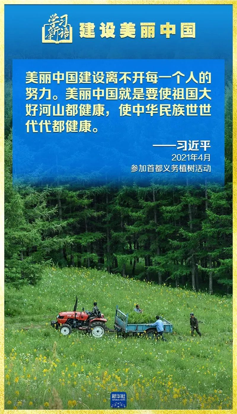 胜天国际-梦想照进现实,努力成就未来!